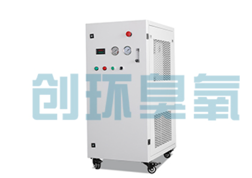 运城石斑鱼养殖水质调控完整指南:臭氧发生器配置与操作步骤
