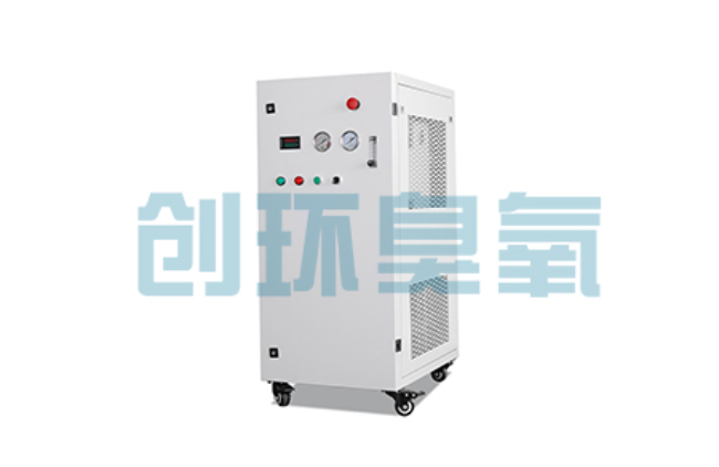 运城比传统换水更高效?臭氧发生器在石斑鱼养殖中的水质净化原理解析