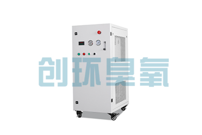 运城比传统换水更高效?臭氧发生器在石斑鱼养殖中的水质净化原理解析